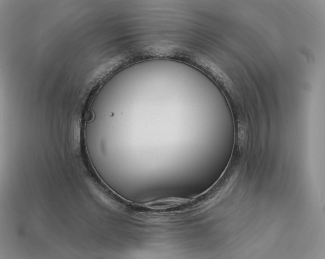 X0000113270493200910011431