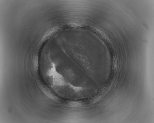 X0000113270494200910011431