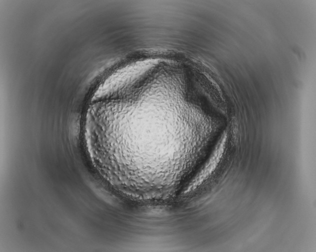 X0000113270495200910011431