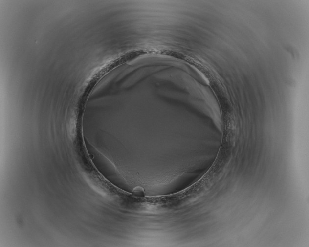 X0000113270496200910011431