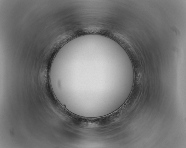 X0000113270498200910011431