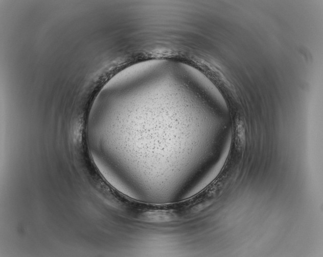 X0000113270499200910011431