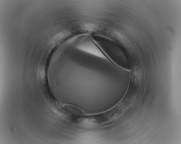 X0000113270500200910011431