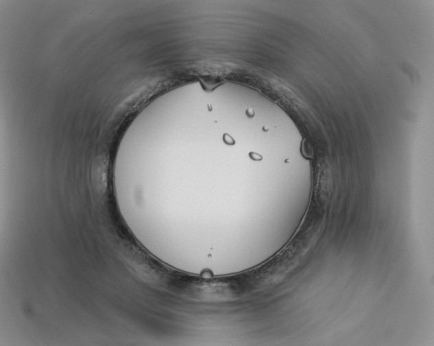 X0000113270501200910011431