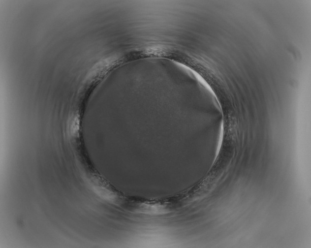 X0000113270502200910011431