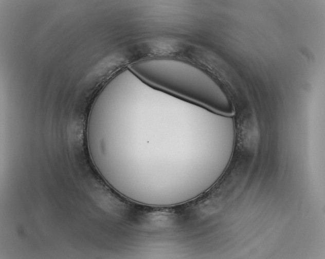 X0000113270505200910011431