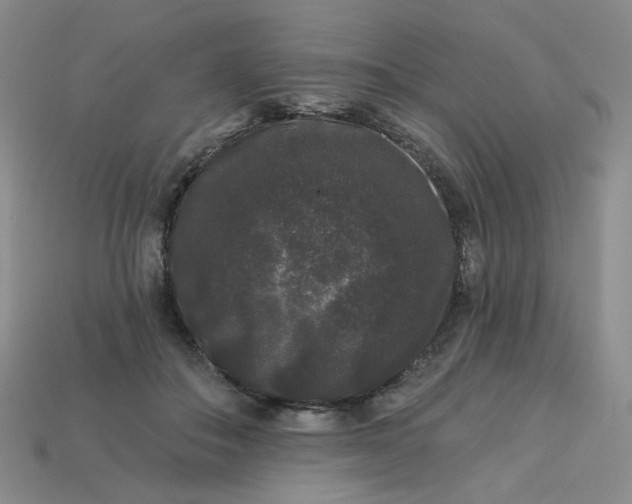 X0000113270506200910011431