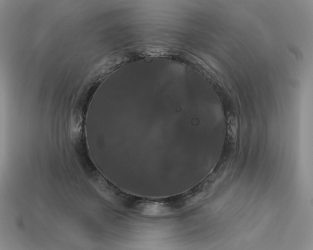 X0000113270507200910011431