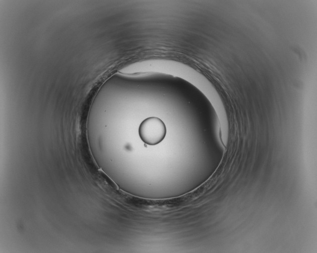 X0000113270508200910011431