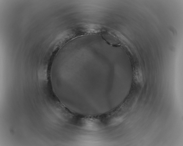 X0000113270512200910011431