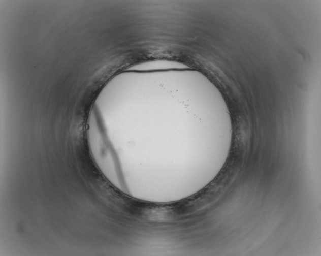 X0000113270513200910011431