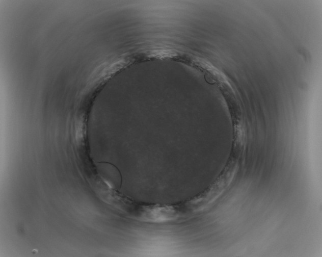 X0000113270517200910011430