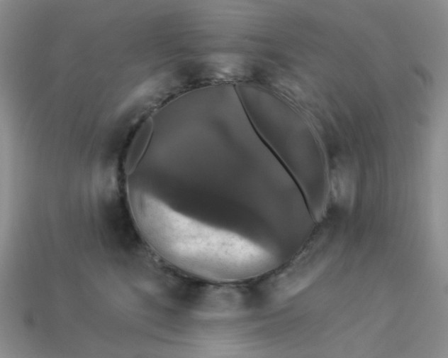 X0000113270520200910011430