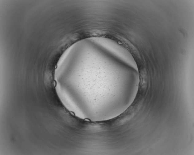 X0000113270523200910011430