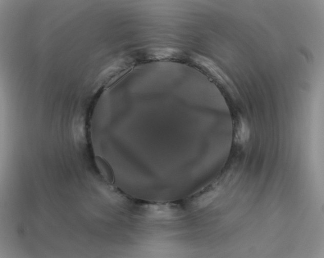 X0000113270524200910011430