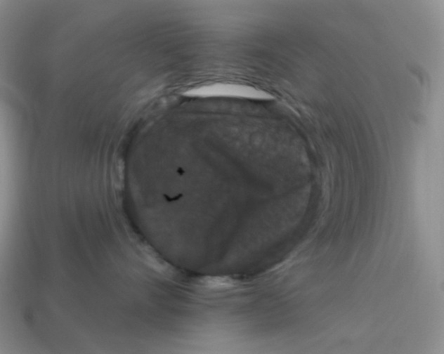 X0000113270528200910011430