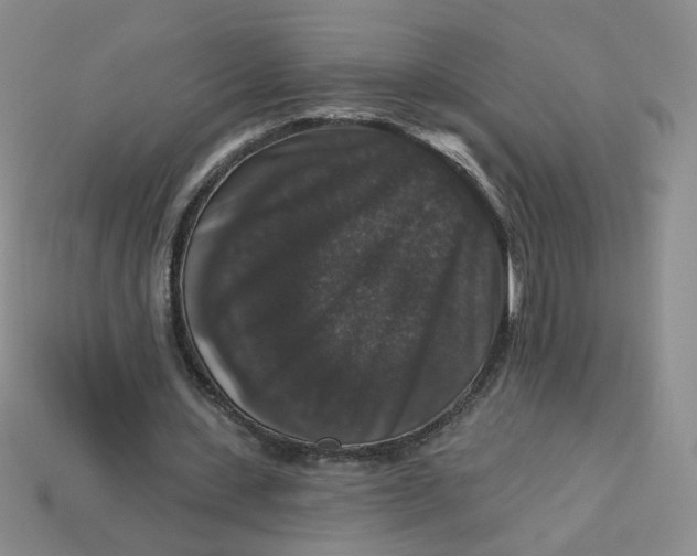 X0000113270531200910011430