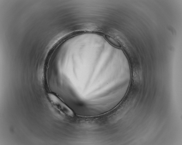 X0000113270532200910011430