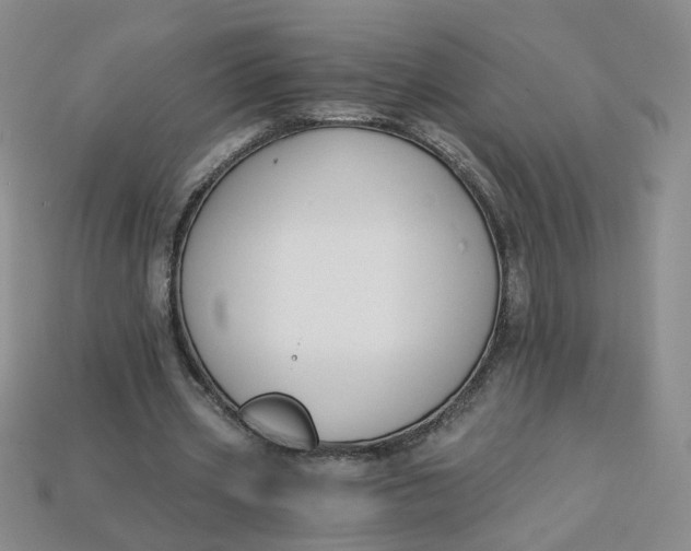 X0000113270533200910011430