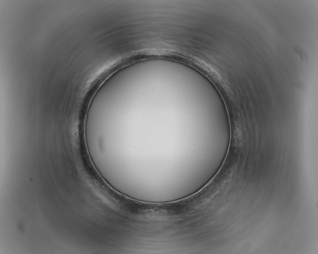 X0000113270535200910011430