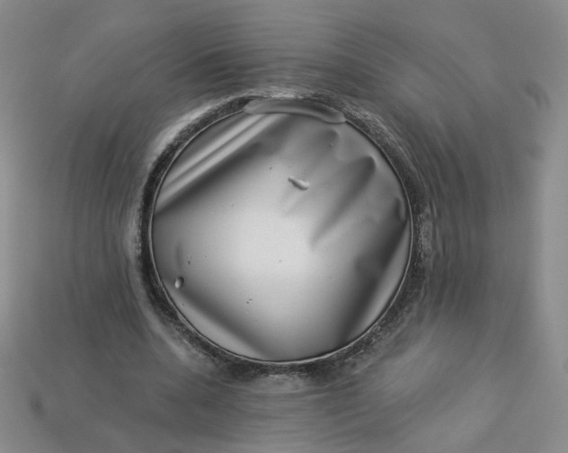 X0000113270536200910011430