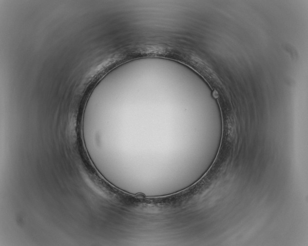 X0000113270538200910011430