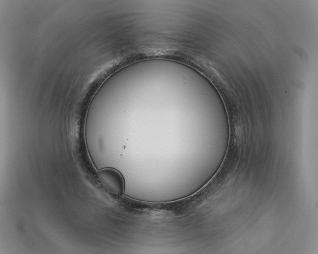 X0000113270539200910011430