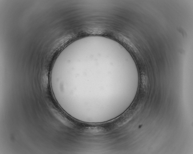 X0000113270541200910011430