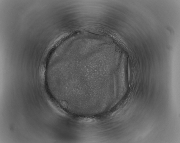 X0000113270542200910011430