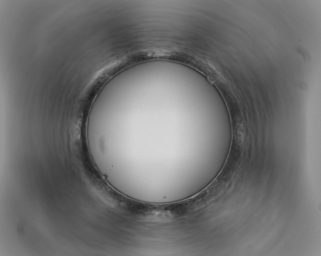 X0000113270543200910011430