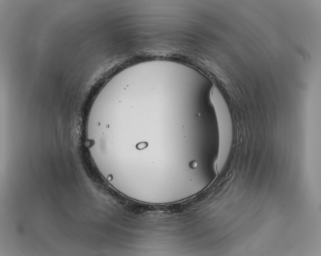 X0000113270544200910011430