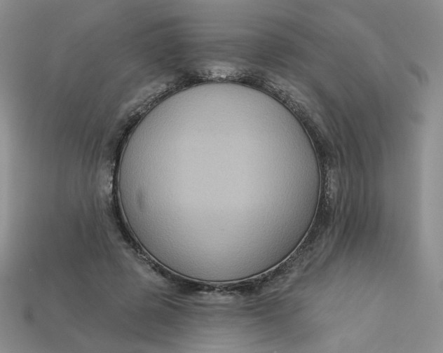 X0000113270545200910011430