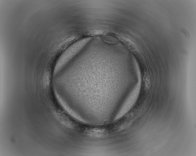 X0000113270546200910011430