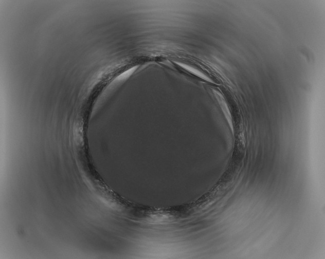 X0000113270547200910011430