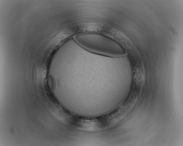 X0000113270548200910011430