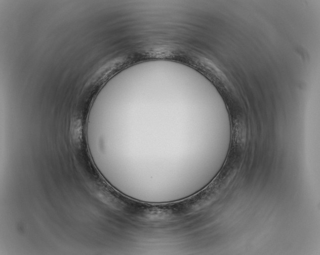 X0000113270549200910011430