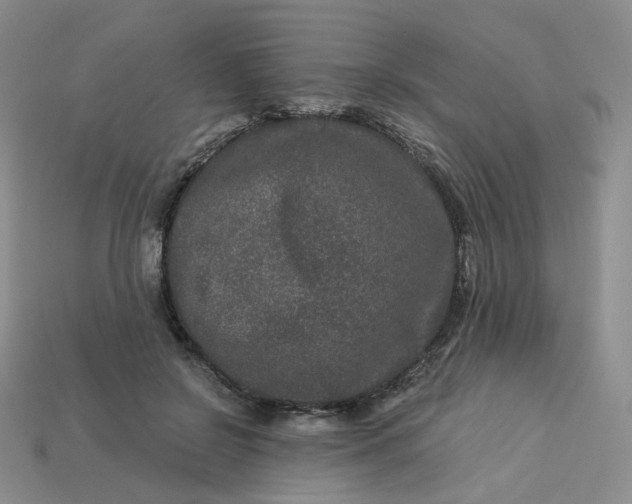 X0000113270550200910011430