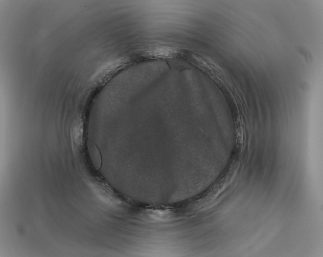 X0000113270552200910011430