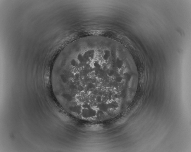 X0000113270553200910011430