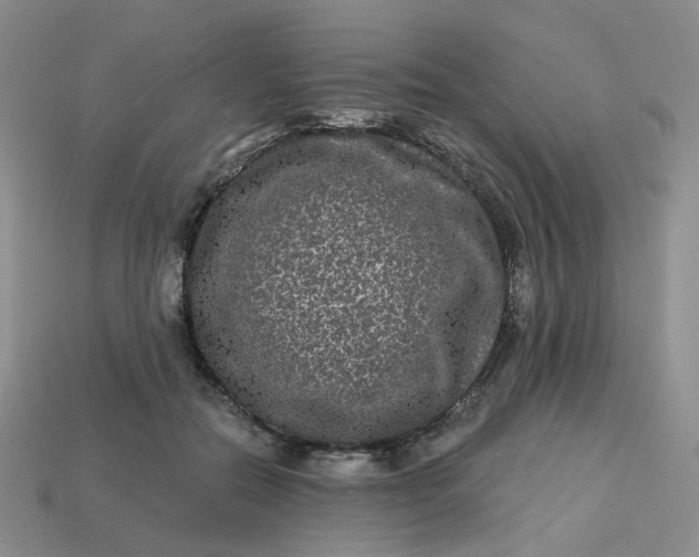 X0000113270554200910011430