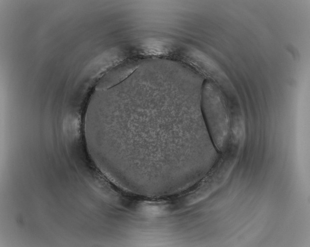 X0000113270556200910011430