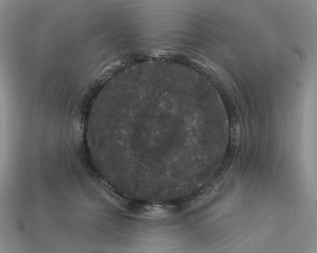 X0000113270558200910011430