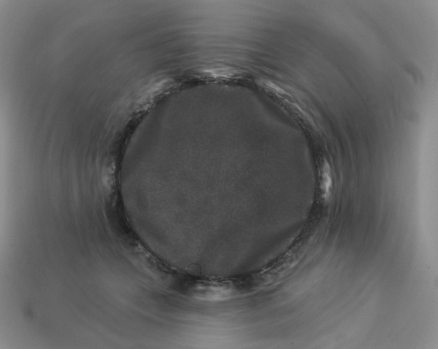 X0000113270559200910011430