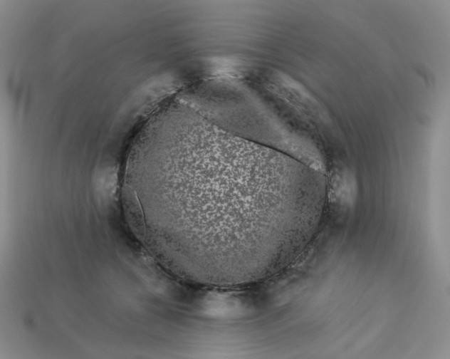 X0000113270560200910011430