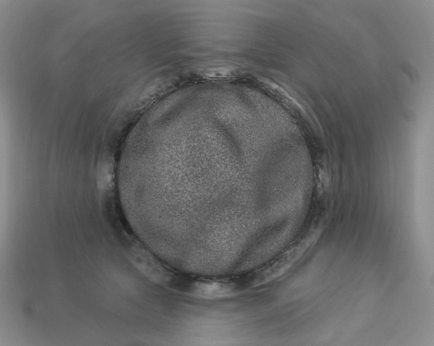 X0000113270561200910011430