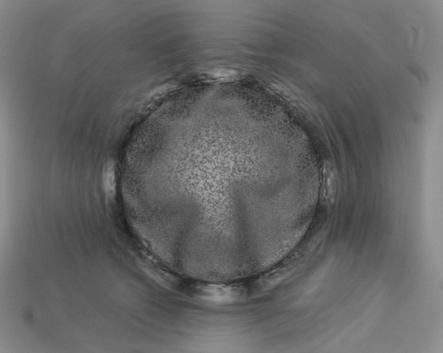 X0000113270562200910011430