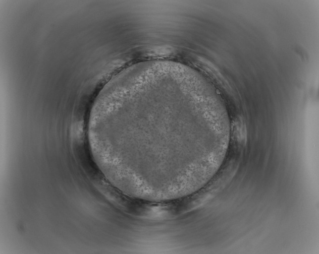 X0000113270564200910011430