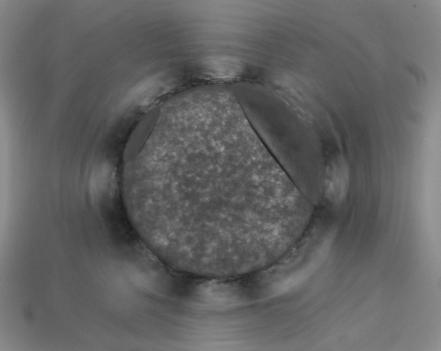 X0000113270568200910011430