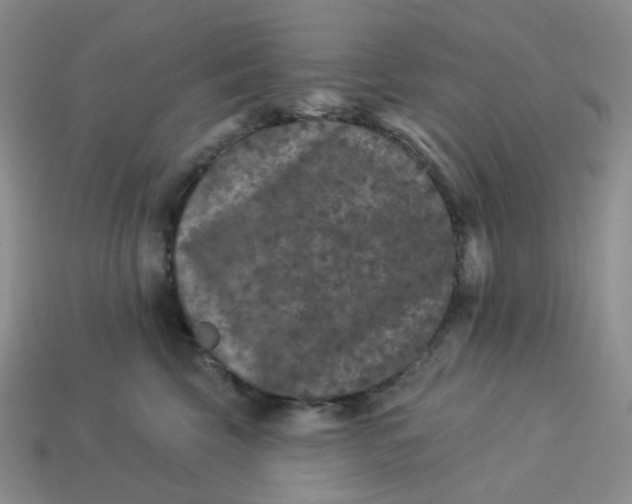 X0000113270569200910011430