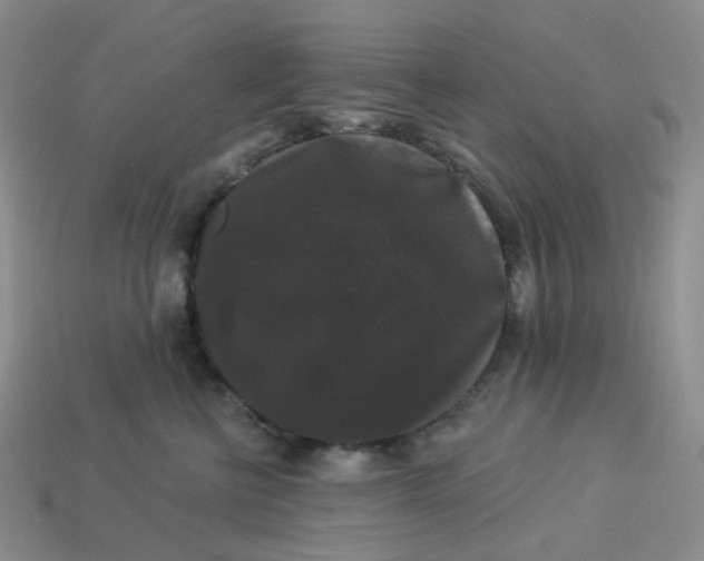 X0000113270570200910011430